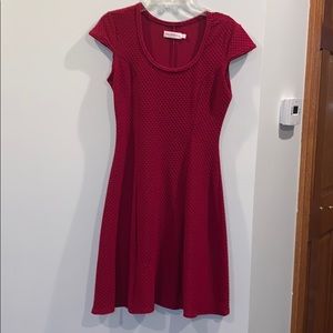 NWOT Red skater dress